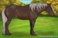 Horse Color:Silver Brown 