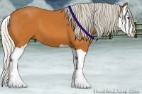 Horse Color:Silver Bay Splash 