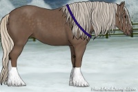 Horse Color:Silver Black 