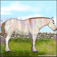 Horse Color:Nacre Red Dun Ice Rabicano