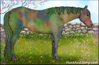 Horse Color:Nacre Brown 