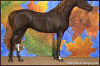 Horse Color:Gray Chestnut 