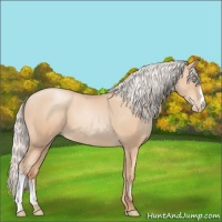 Horse Color:Silver Amber Champagne Pearl 
