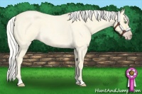 Horse Color:Silver Amber Cream Champagne Roan 