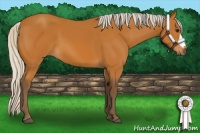 Horse Color:Silver Bay 