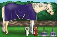 Horse Color:Palomino Dun 