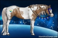 Horse Color:Chocolate Palomino Splash Tobiano 