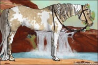 Horse Color:White Spotted Chocolate Palomino Dun