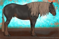 Horse Color:Liver Chestnut Rabicano 