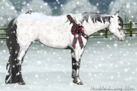 Horse Color:White Spotted Black Near Fewspot 