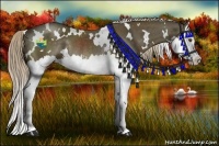 Horse Color:White Spotted Chocolate Palomino Splash Rabicano