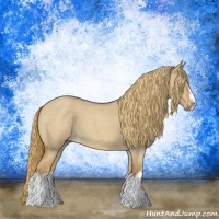 Horse Color:Red Dun Roan Splash Frame Rabicano 