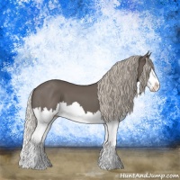 Horse Color:Silver Black Splash