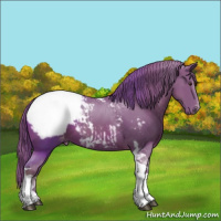 Horse Color:Watercolor Chestnut Tobiano Snowcap 