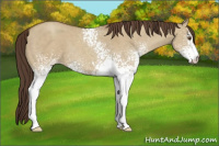 Horse Color:White Spotted Classic Champagne Dun 