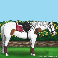 Horse Color:Brown Splash Tobiano Blanket 