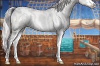 Horse Color:White Spotted Chocolate Silver Grullo Chinchilla Sabino 