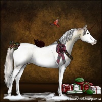 Horse Color:White Spotted Chocolate Silver Buckskin Onyx Splash 
