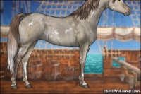 Horse Color:White Spotted Liver Red Dun Ice Sabino