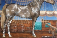 Horse Color:White Spotted Liver Red Dun