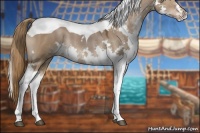 Horse Color:White Spotted Liver Red Dun Splash Tobiano