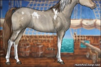 Horse Color:White Spotted Liver Red Dun Ice Tobiano 