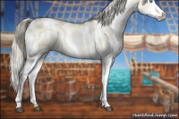 Horse Color:White Spotted Chocolate Palomino Pearl Dun Splash 