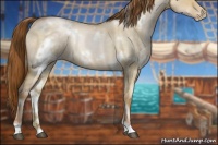 Horse Color:White Spotted Buckskin Roan Pearl Dun Rabicano