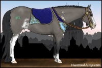 Horse Color:Grullo Roan Sabino