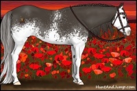 Horse Color:White Spotted Smoky Black Splash 