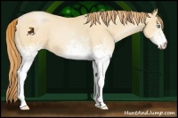 Horse Color:White Spotted Buckskin Roan Pearl 