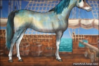 Horse Color:Plaid Bay Onyx Sabino