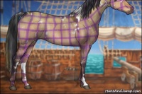 Horse Color:Plaid  White Spotted Brown Dun Rabicano