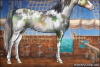Horse Color:Nacre White Spotted Brown Onyx 