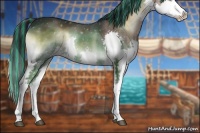 Horse Color:Painted Brown Onyx Sabino Splash 