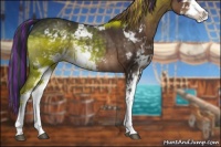 Horse Color:Painted Brown Sabino 