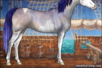 Horse Color:Painted Sable Champagne Sabino Splash Tobiano 