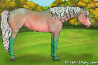 Horse Color:Watercolor Silver Buckskin