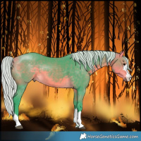 Horse Color:Watercolor Silver Buckskin 