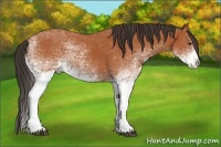 Horse Color:White Spotted Bay Splash  and White Spotted Bay Splash 