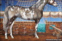 Horse Color:White Spotted Silver Blue Onyx 