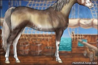 Horse Color:Silver Blue Onyx Sabino 