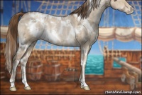 Horse Color:White Spotted Liver Red Dun Ice Pearl