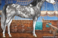 Horse Color:White Spotted Black Ice Splash