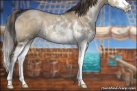 Horse Color:Liver Red Dun Sabino 