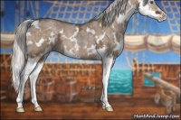 Horse Color:White Spotted Silver Brown Ice Dun Splash 