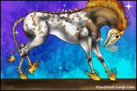 Horse Color:White Spotted Liver Red Dun Splash Appaloosa Rabicano