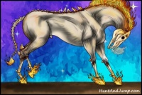 Horse Color:Sable Champagne Dun Splash Rabicano 