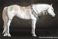 Horse Color:White Spotted Liver Chestnut Ice Pearl Splash 