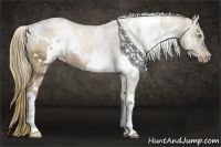 Horse Color:White Spotted Liver Chestnut Ice Pearl Rabicano 